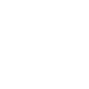 Advanced Litigation Consultants