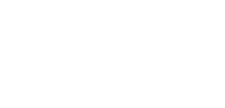 EV Pro Solutions